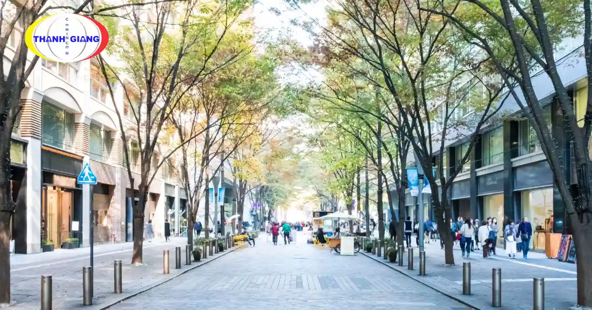 Du Học Nhật Bản Mấy Năm