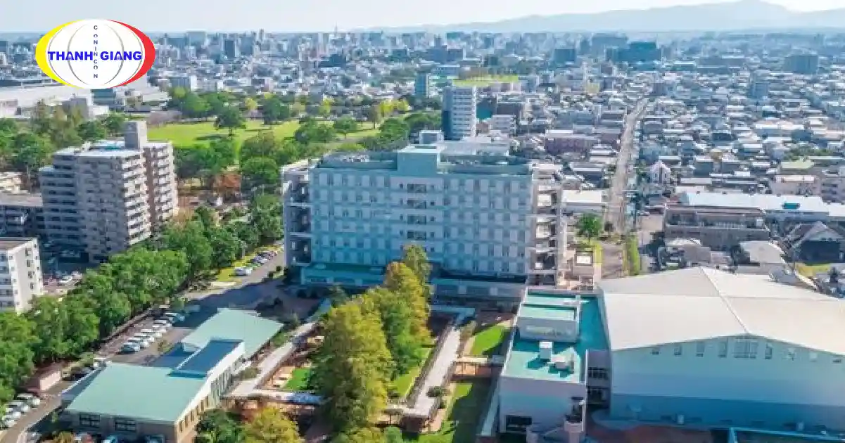 Du Học Nhật Bản Nên Chọn Trường Nào