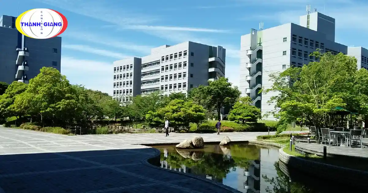 Du Học Nhật Bản Nên Chọn Trường Nào