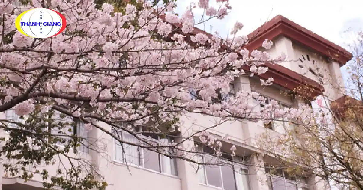 Du Học Nhật Bản Mấy Năm