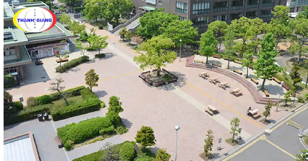 Du Học Nhật Bản Nên Chọn Trường Nào