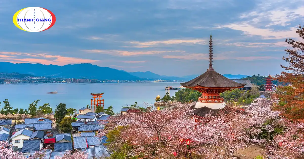 Hoa Anh Đào Ở Nhật Bản