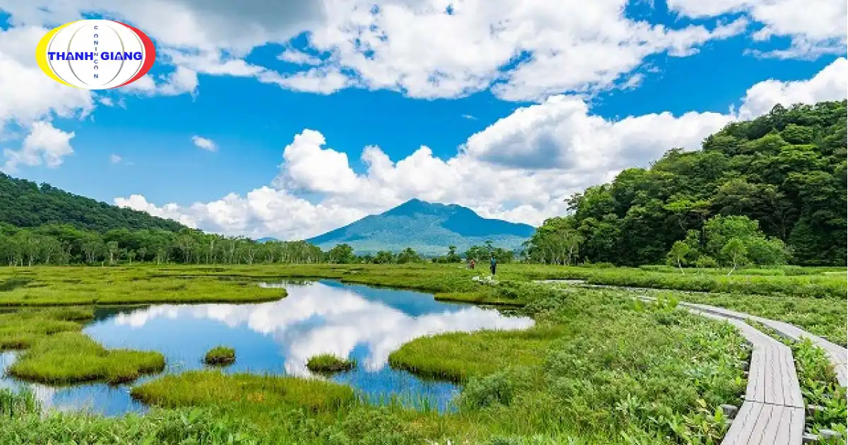 Nhật Bản Mùa Hè