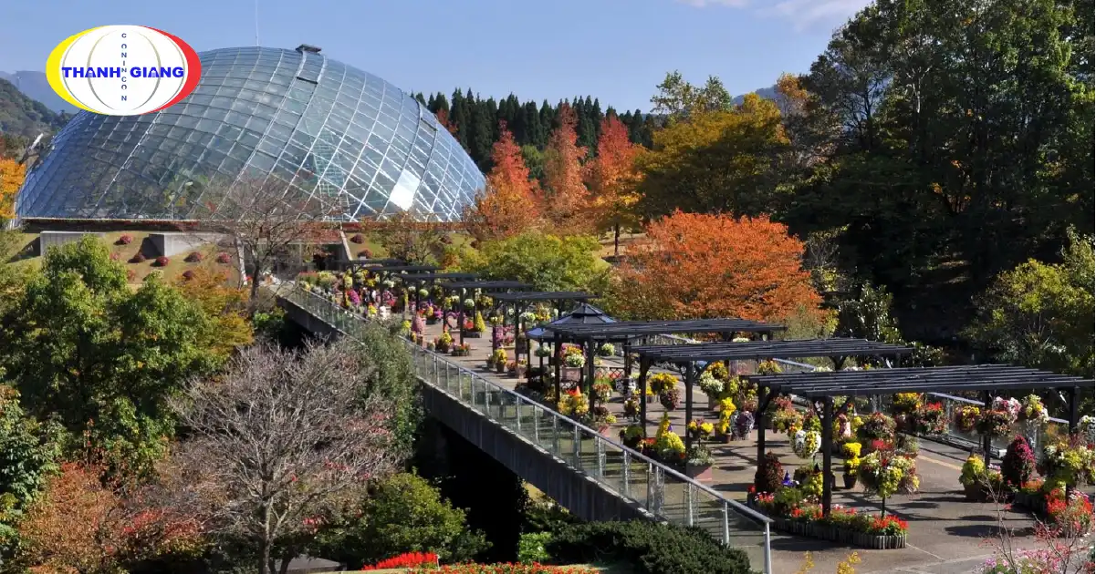 Mùa Thu Nhật Bản