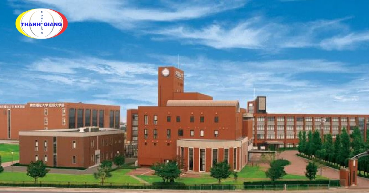 Du Học Nhật Bản Mấy Năm